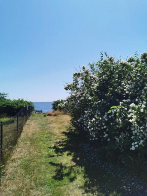 Sea-view apartment in beautiful Smygehamn, Smygehamn